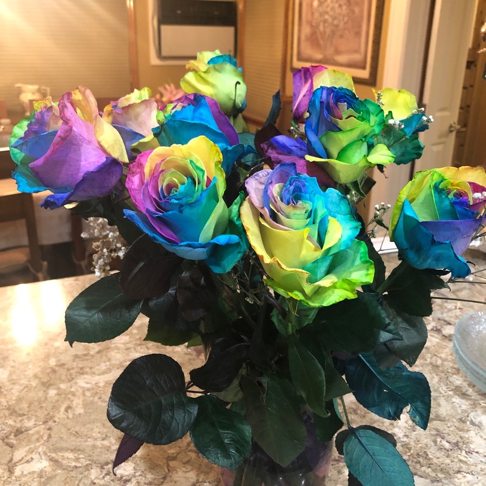 Meet your Posher, SK